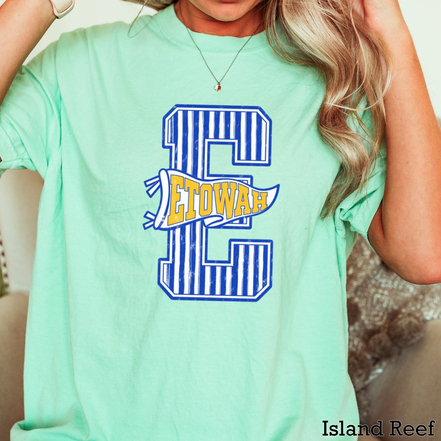 Eagles  Comfort Color Graphic Tee