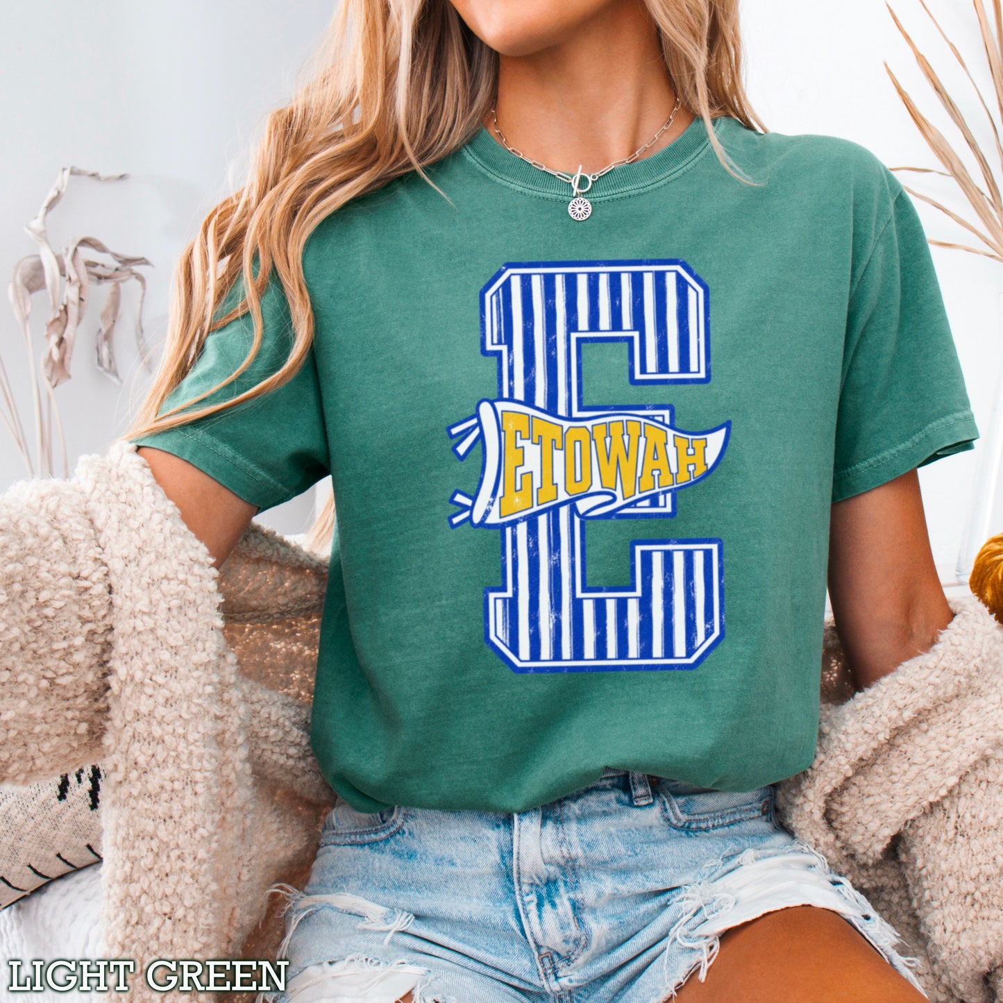 Eagles  Comfort Color Graphic Tee