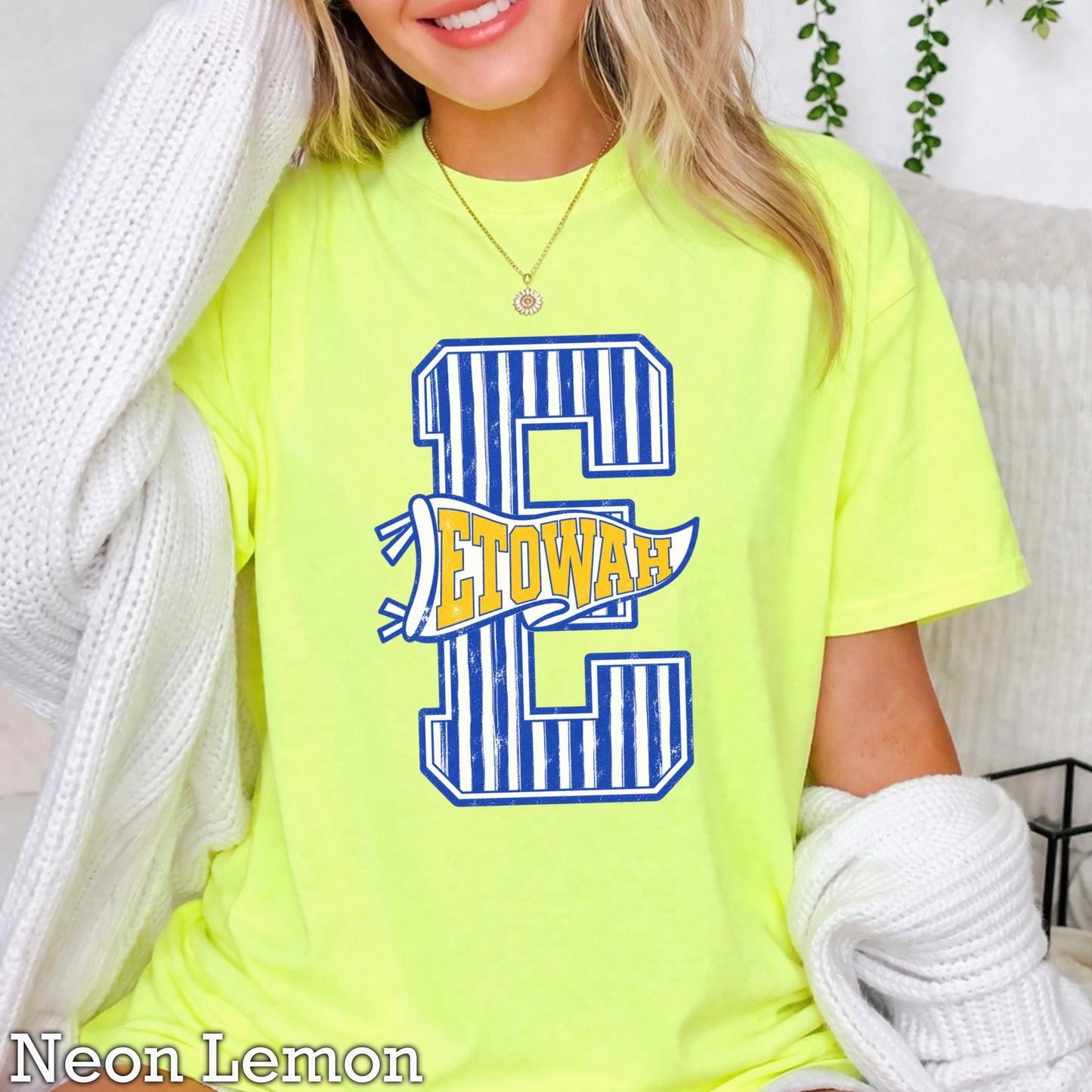 Eagles  Comfort Color Graphic Tee