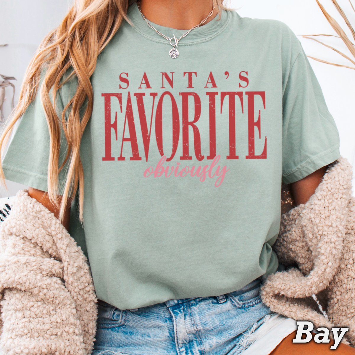 Santa’s Favorite Comfort Color Graphic Tee