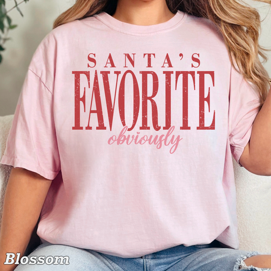 Santa’s Favorite Comfort Color Graphic Tee