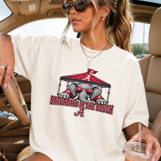 Saturdays In The South Comfort Color Graphic Tee