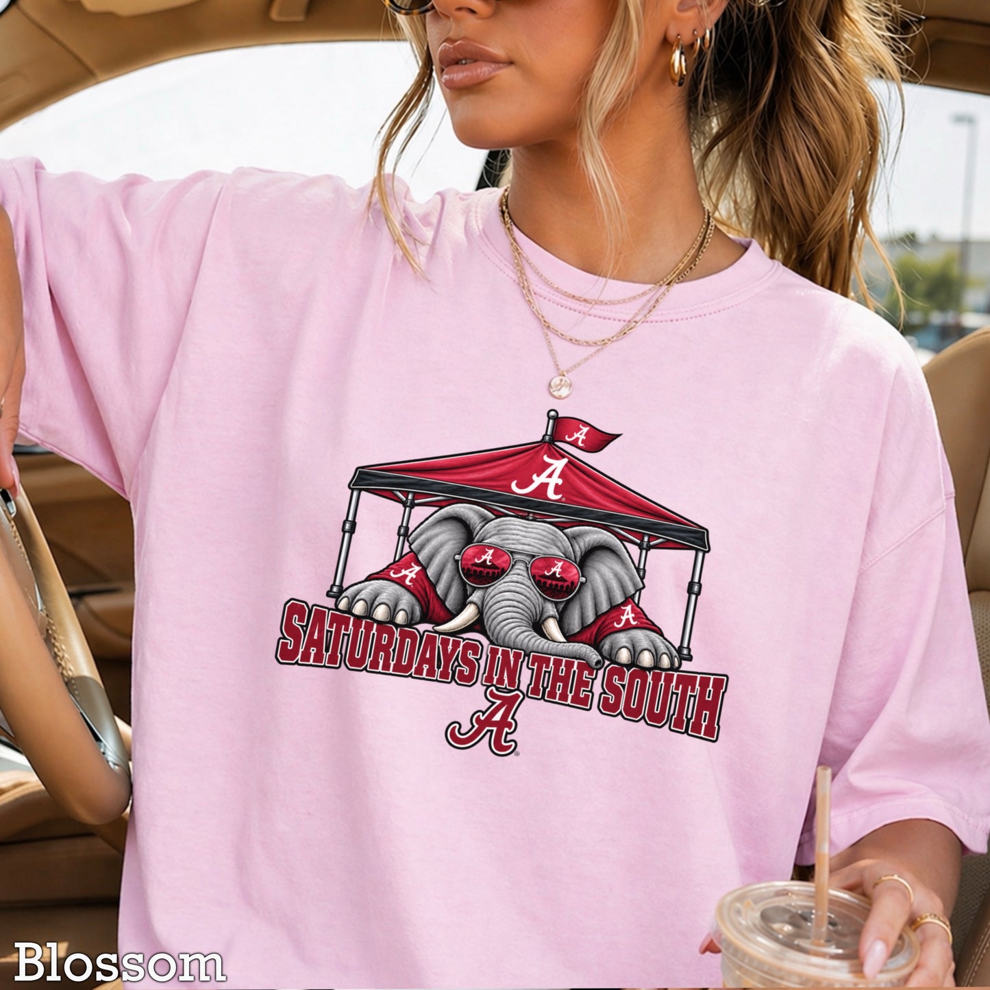 Saturdays In The South Comfort Color Graphic Tee