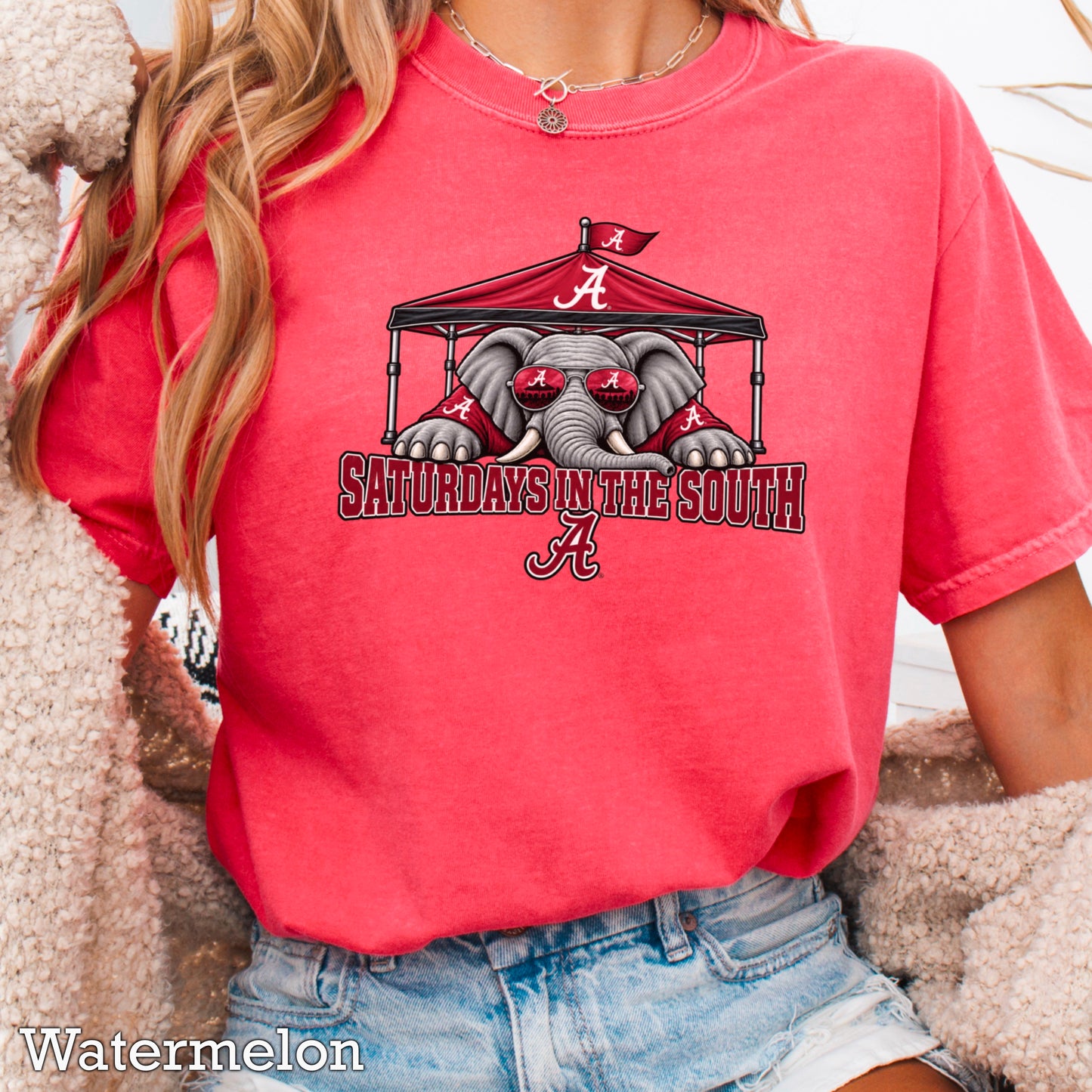 Saturdays In The South Comfort Color Graphic Tee