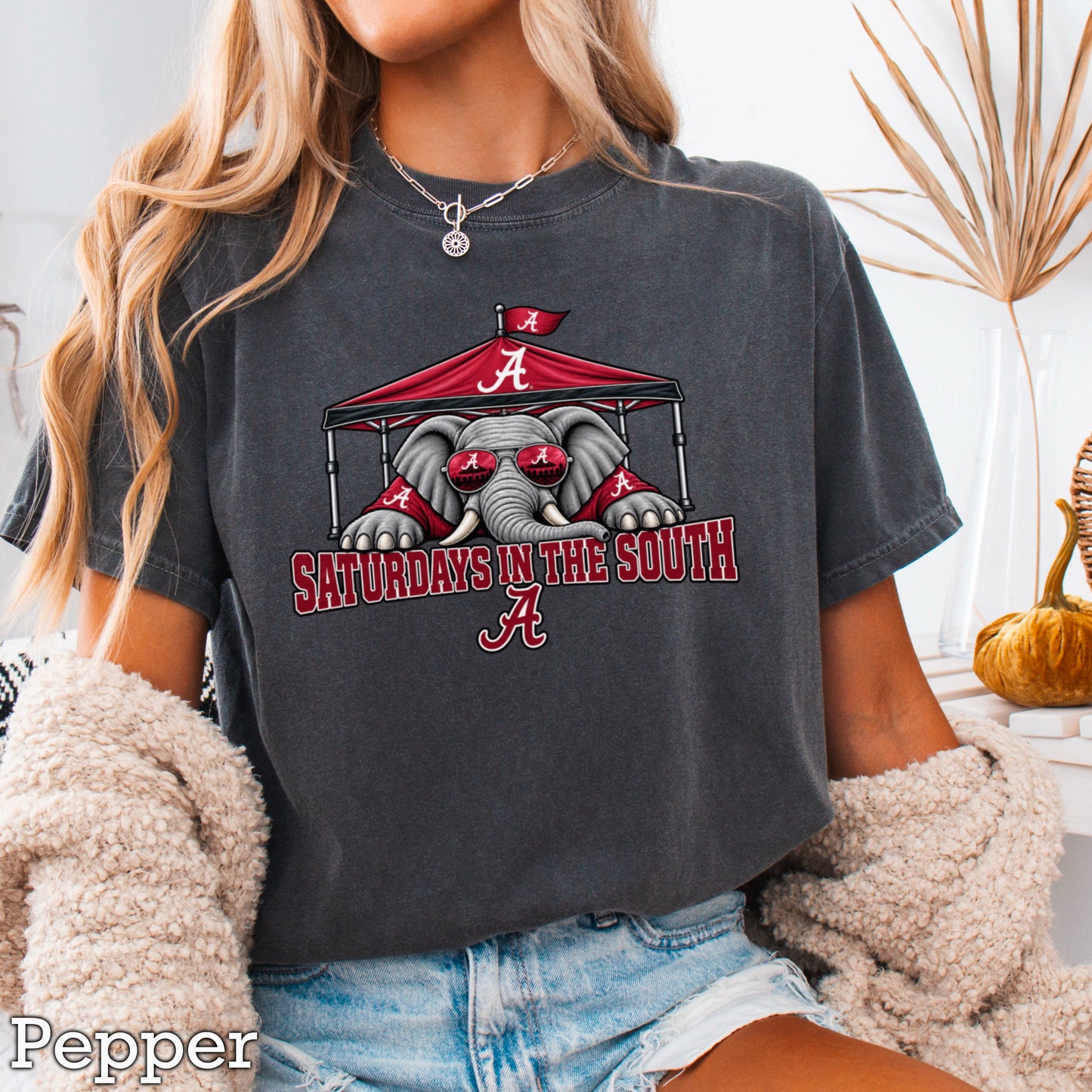 Saturdays In The South Comfort Color Graphic Tee
