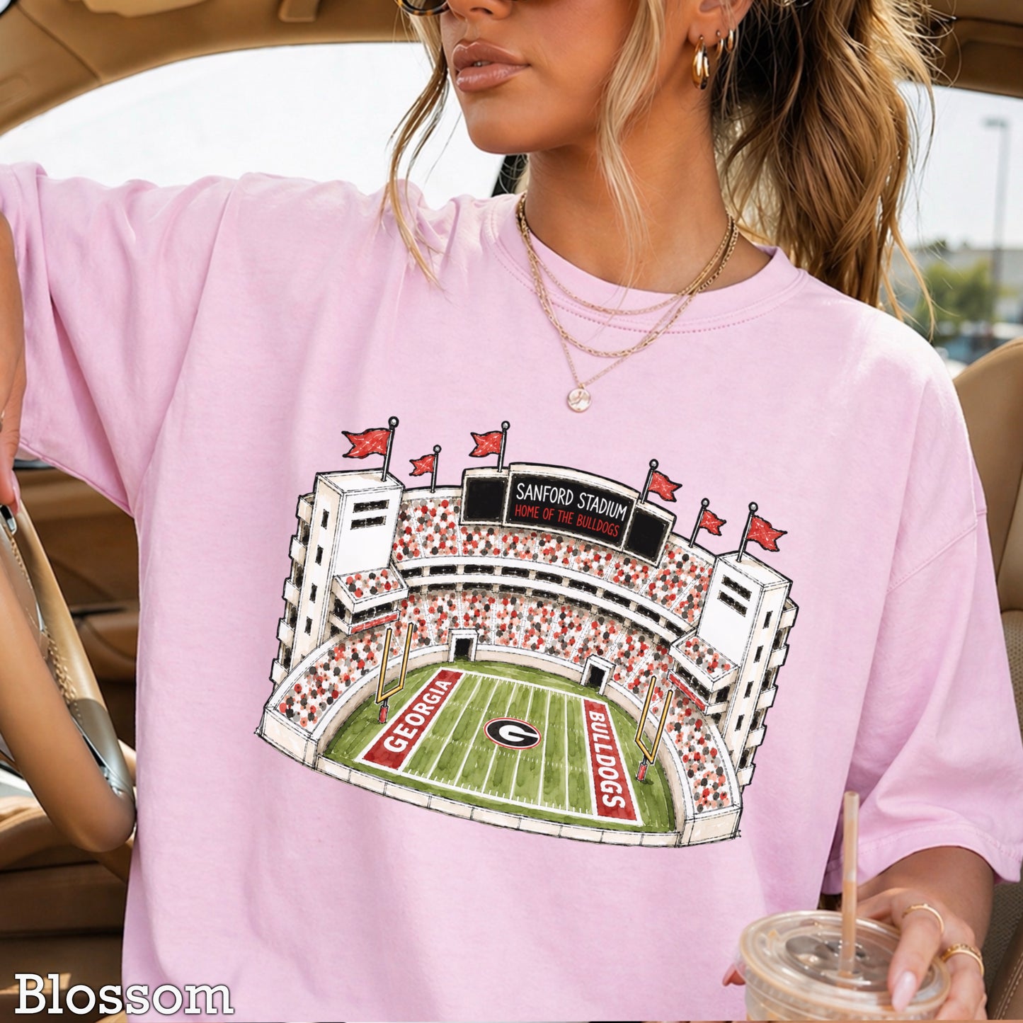 Red & Black College Stadium Comfort Color Graphic Tee