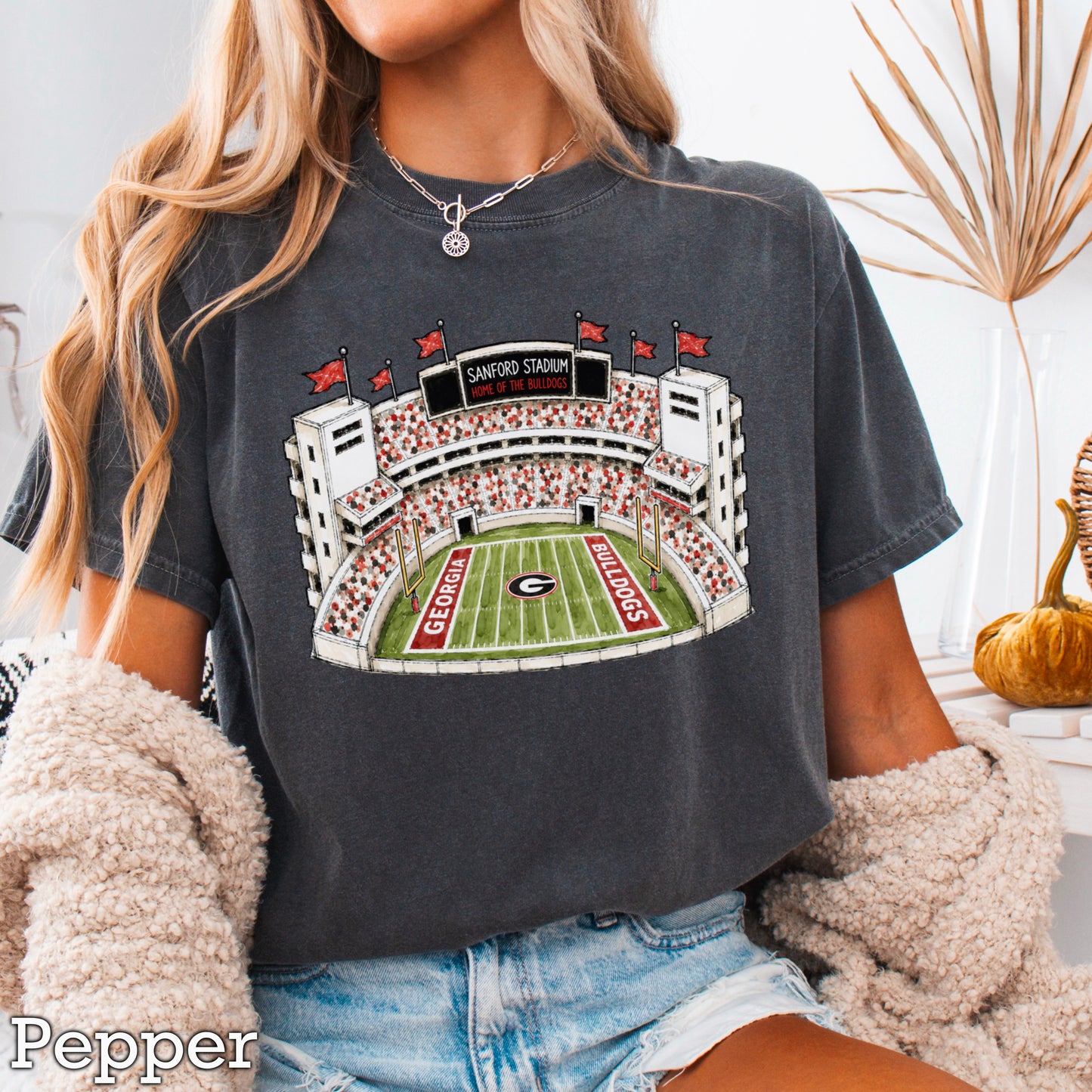Red & Black College Stadium Comfort Color Graphic Tee