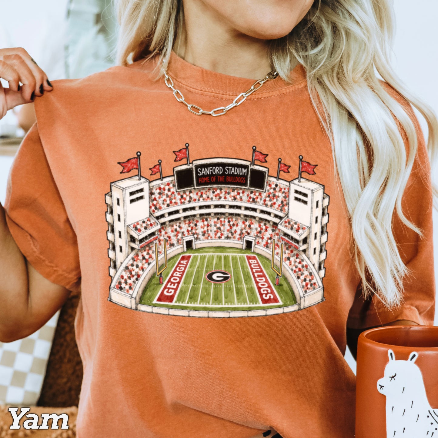 Red & Black College Stadium Comfort Color Graphic Tee
