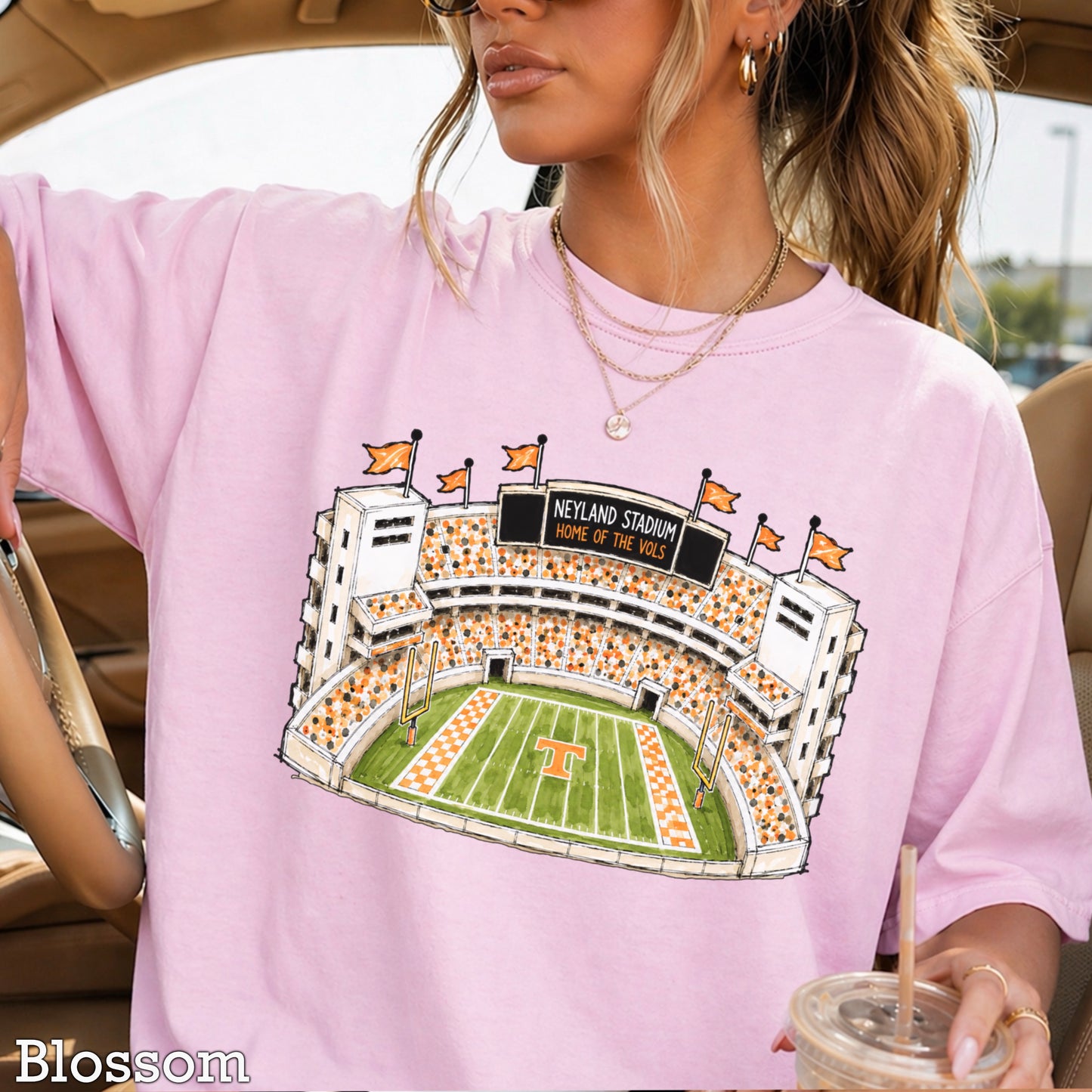 Orange & White College Stadium Comfort Color Graphic Tee