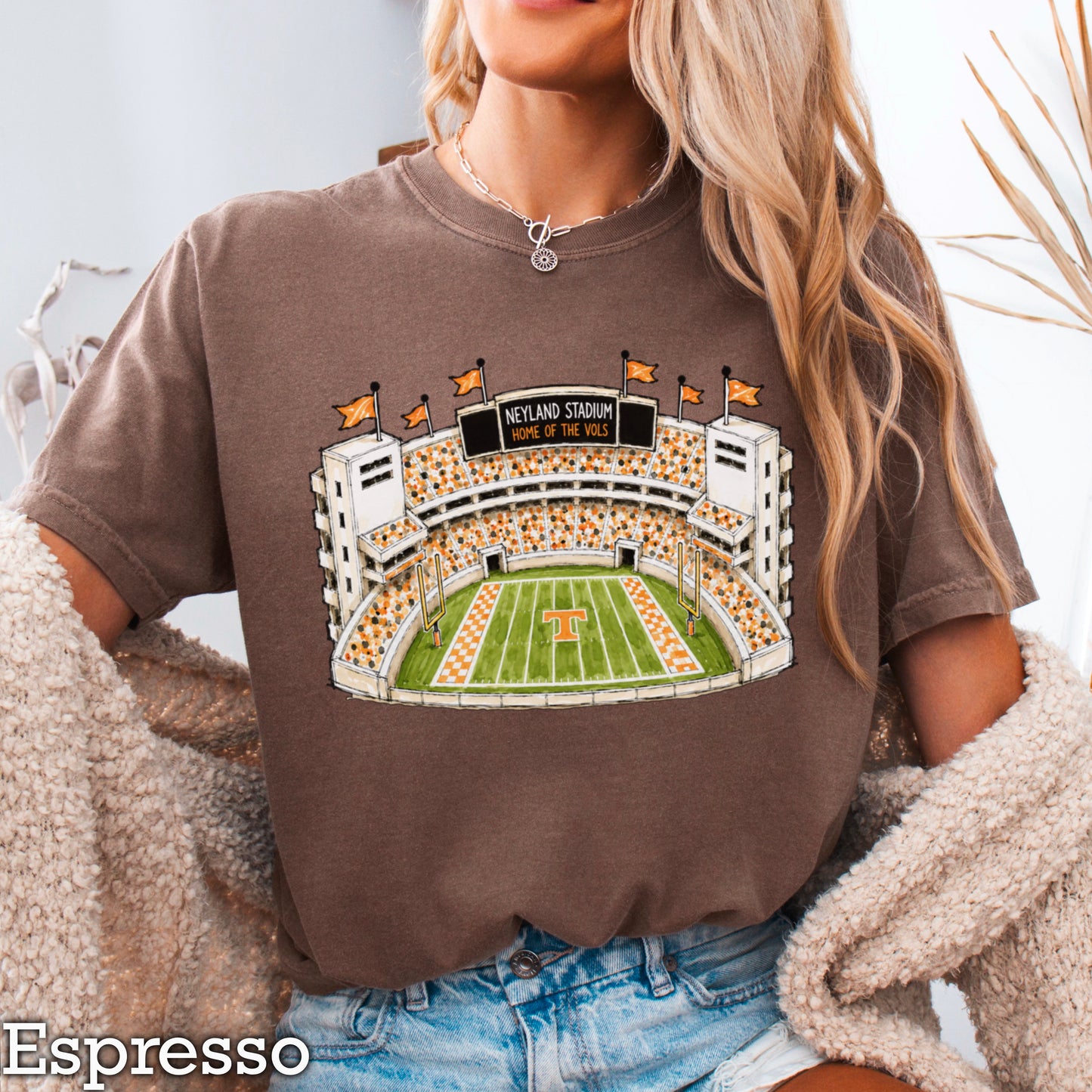 Orange & White College Stadium Comfort Color Graphic Tee