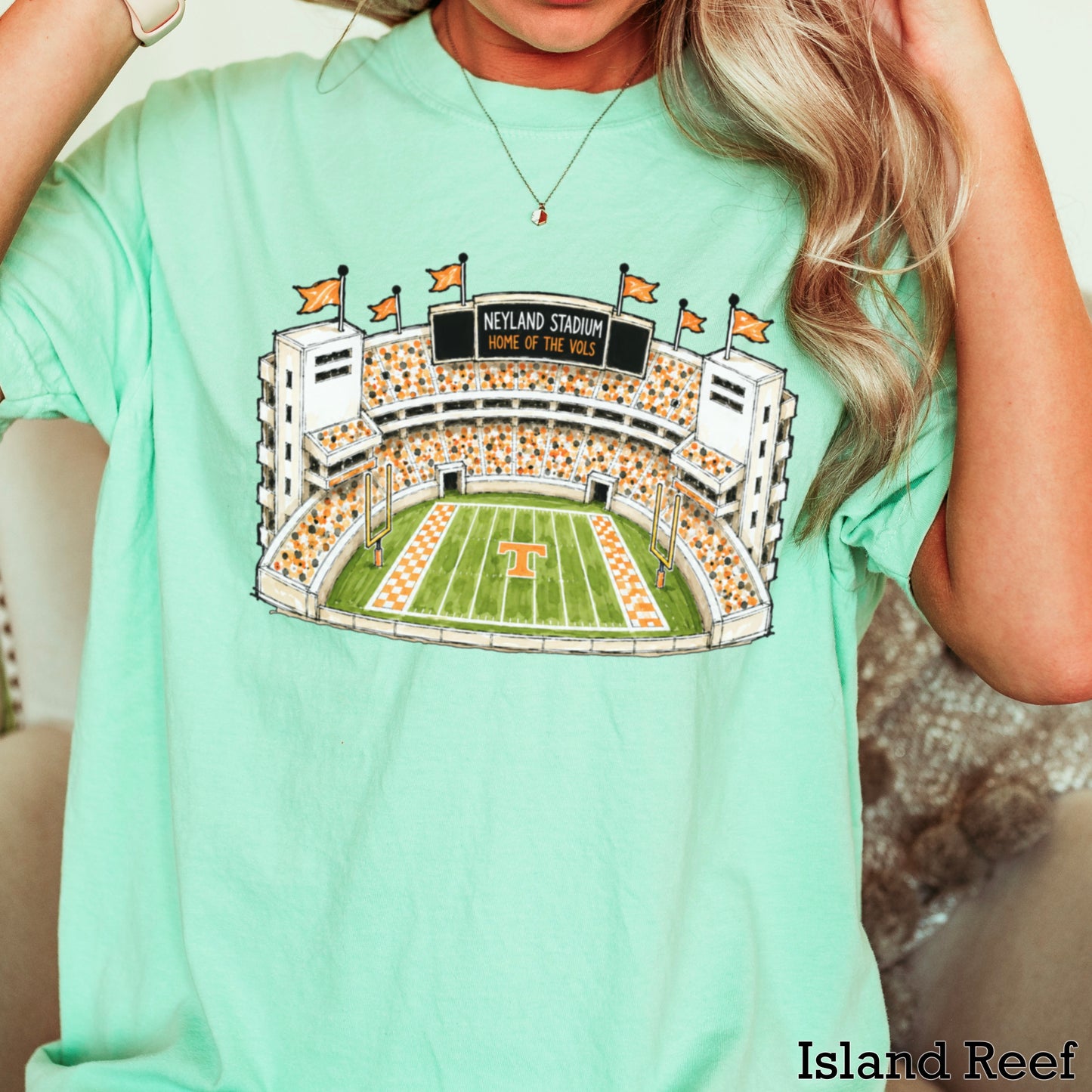 Orange & White College Stadium Comfort Color Graphic Tee