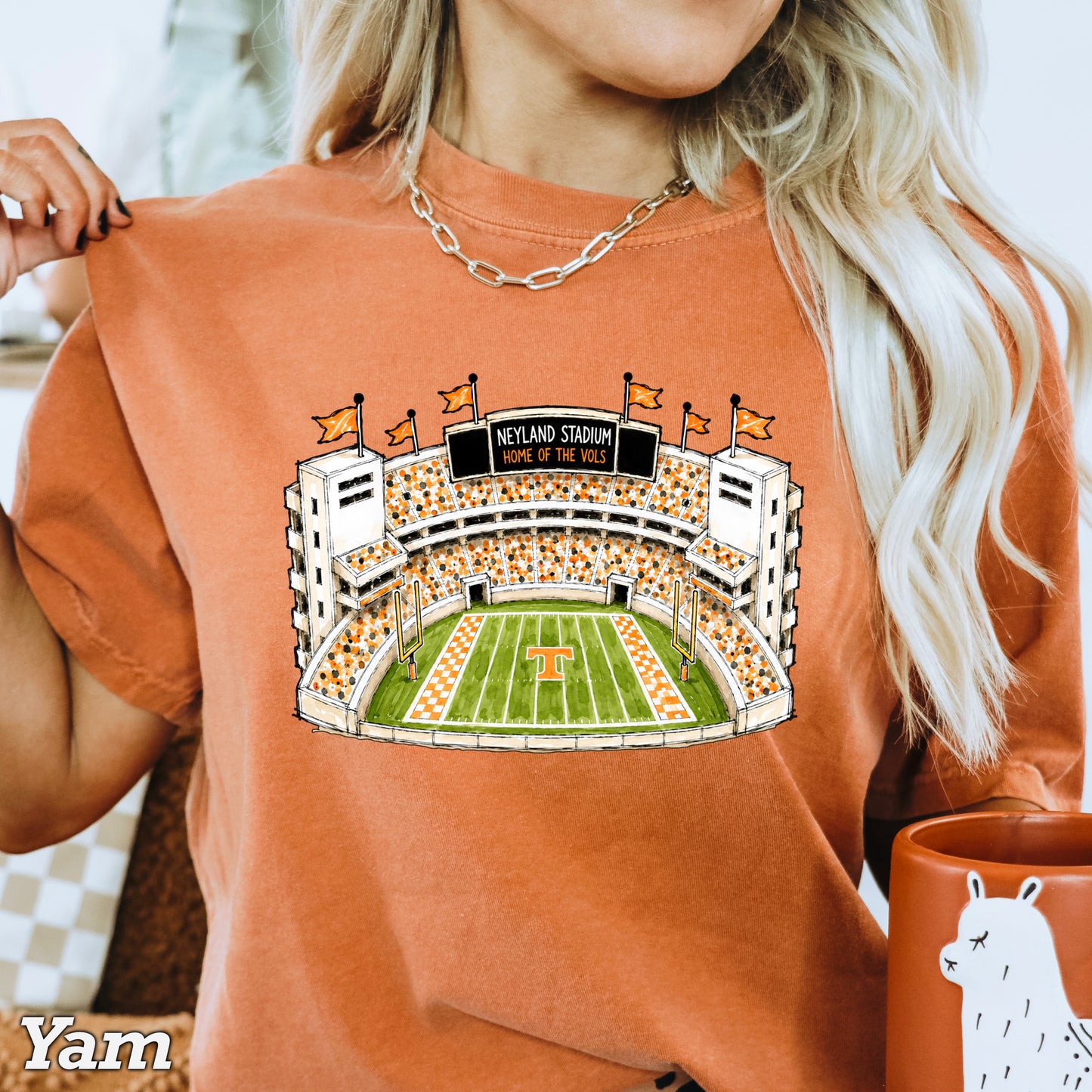 Orange & White College Stadium Comfort Color Graphic Tee
