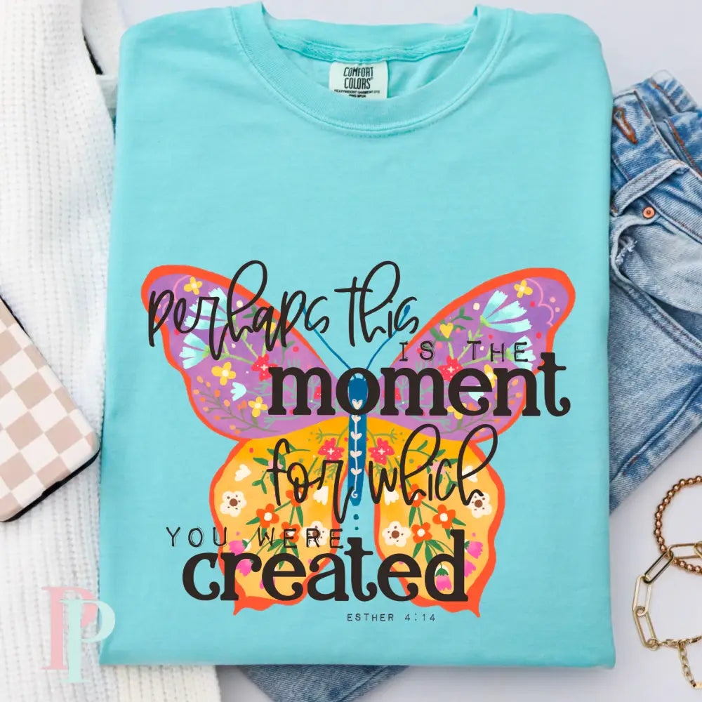 Perhaps This Is The Moment You Were Created For Comfort Color Graphic Tee